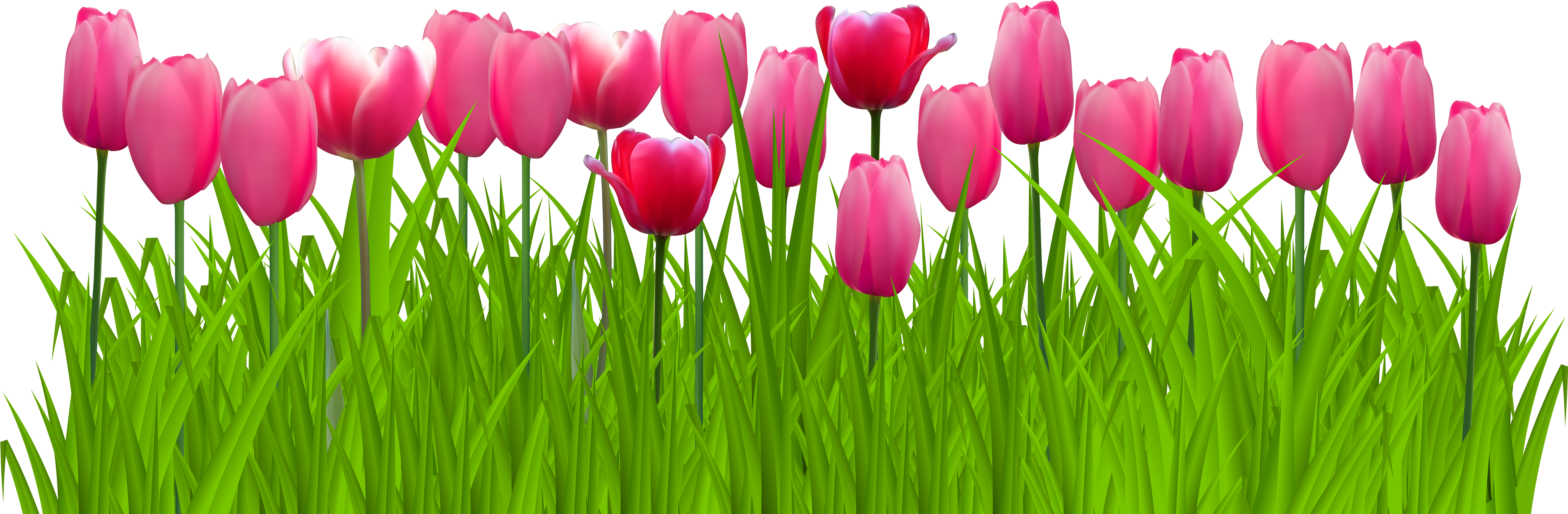 Png Freeuse Stock Grass With Pink Png Clip Art Image - Transparent Background Tulips Clipart, Png Download PNG with transparent background