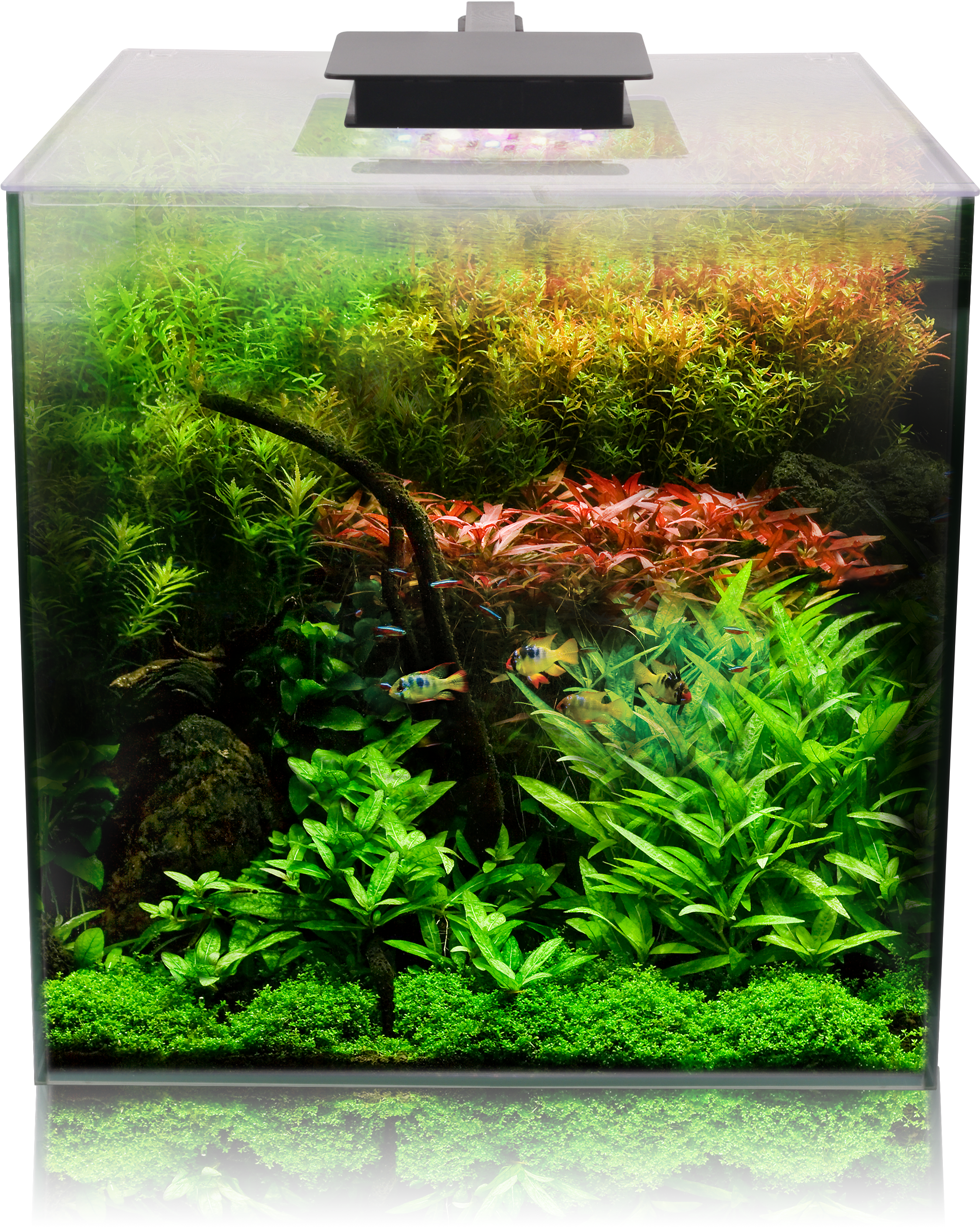 Fluval Flora Aquarium, HD Png Download PNG with transparent background