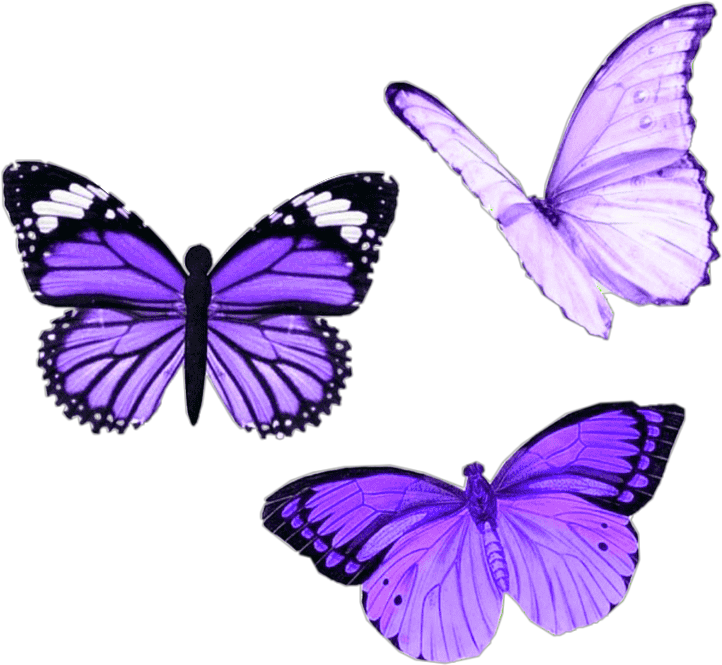 Vibrant Purple Butterflies PNG with transparent background