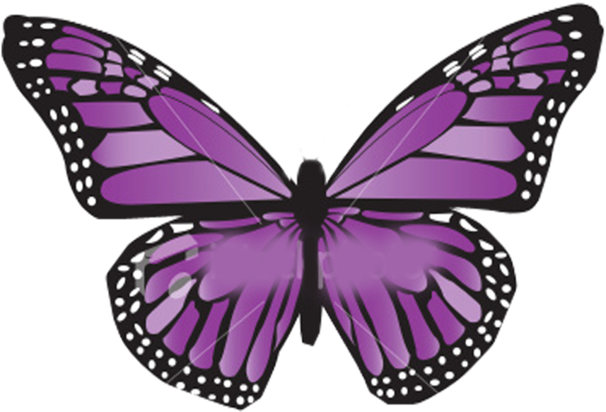 Vibrant Purple Butterfly Illustration PNG with transparent background