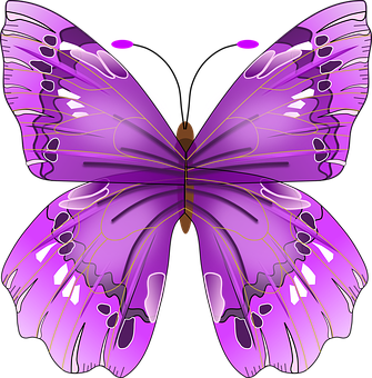 Vibrant Purple Butterfly Illustration