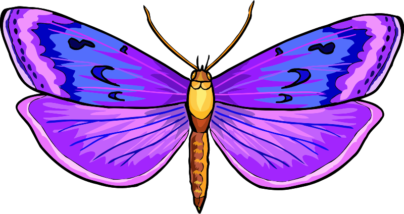 Vibrant Purple Butterfly Illustration