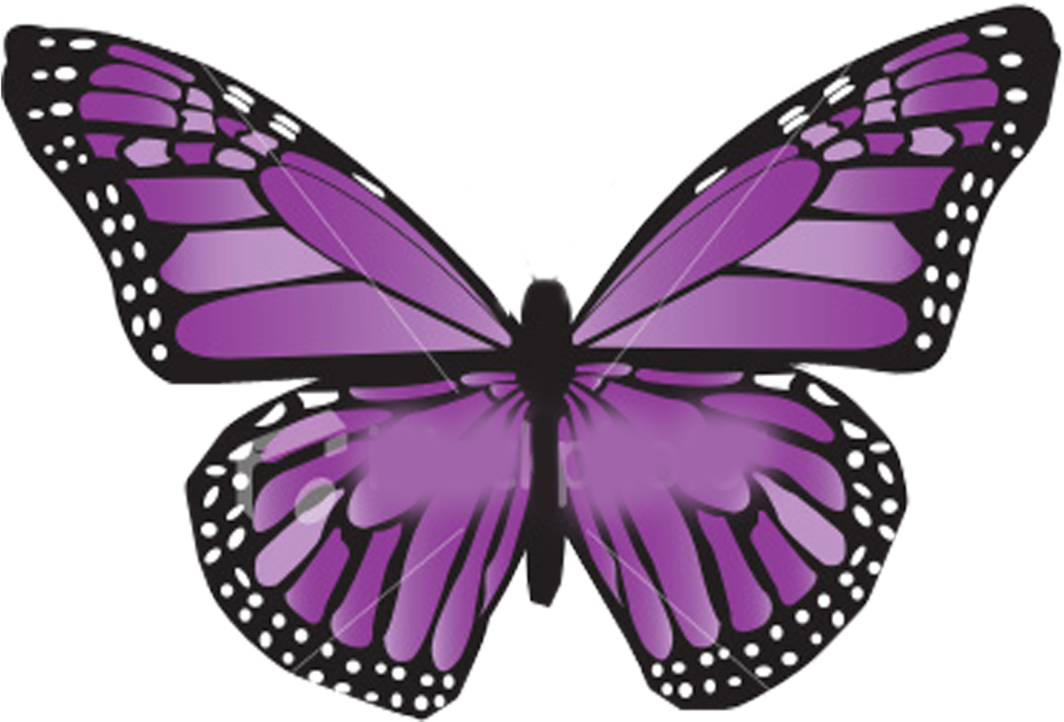 Vibrant Purple Butterfly Illustration PNG with transparent background