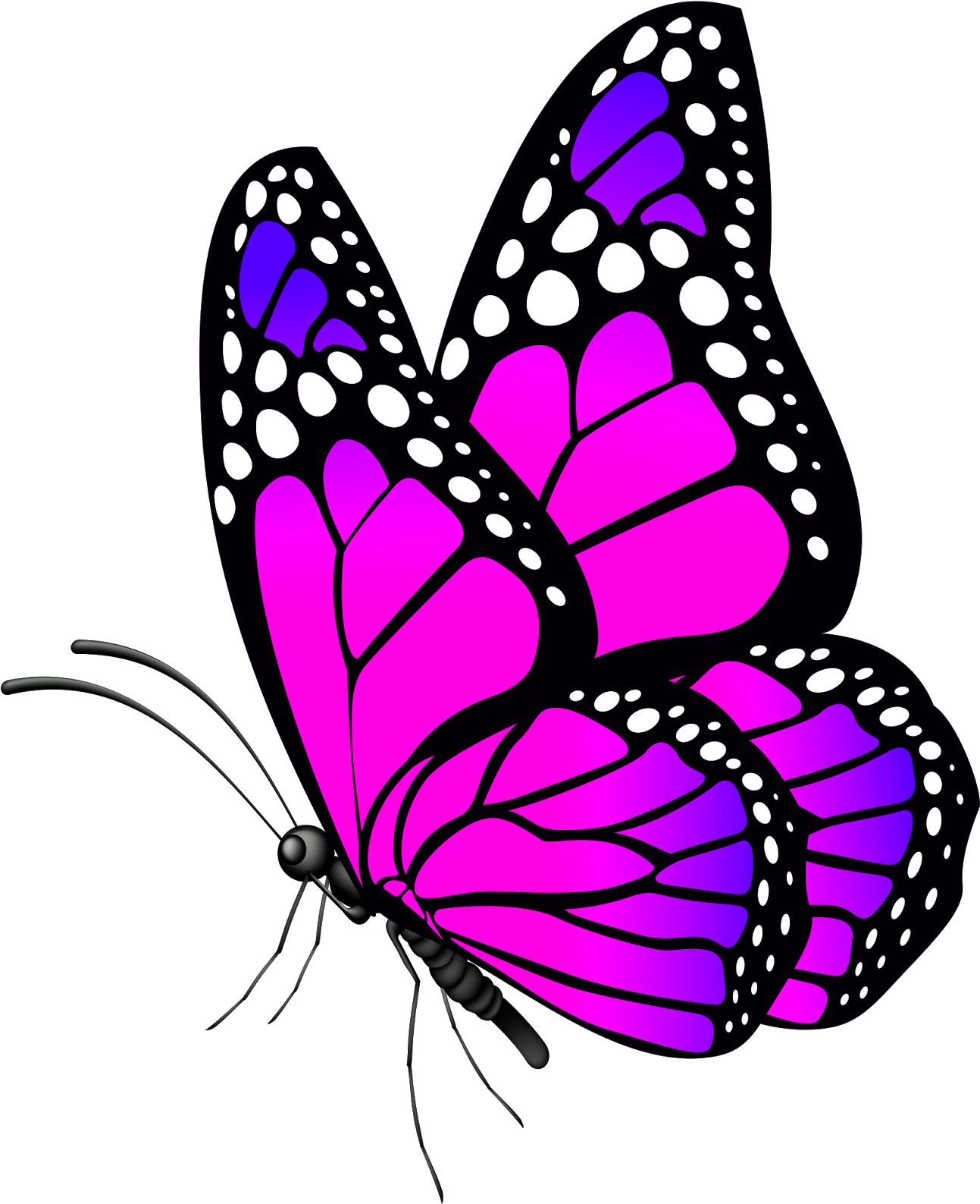 Vibrant Purple Butterfly Illustration PNG with transparent background