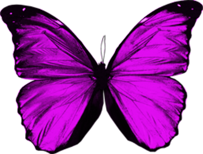 Vibrant Purple Butterfly PNG with transparent background