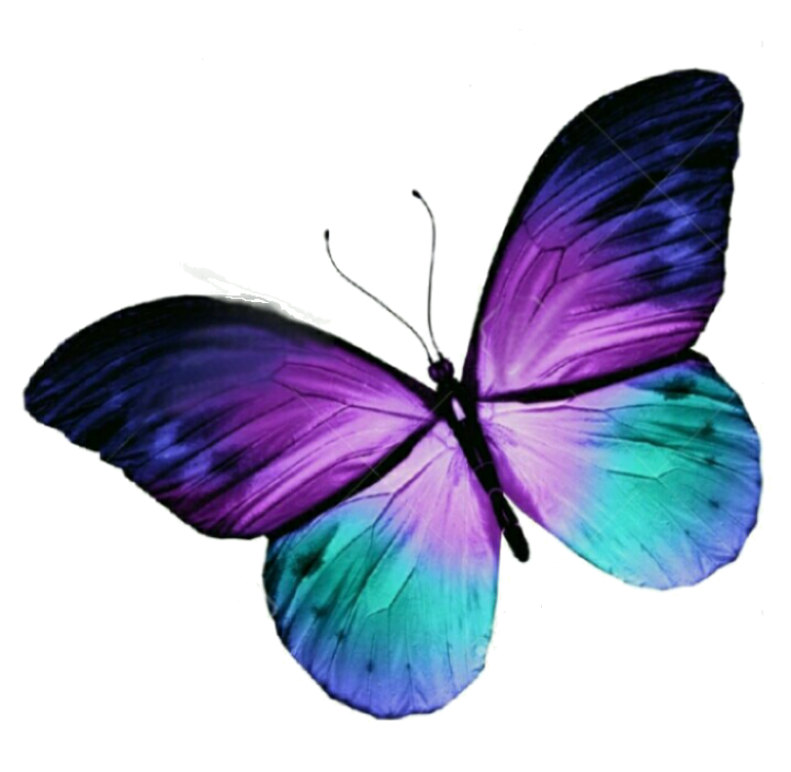 Vibrant Purple Butterfly PNG with transparent background