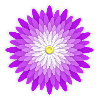 Vibrant Purple Daisy Illustration