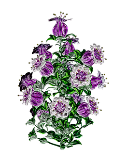 Vibrant Purple Flowers Artwork PNG with transparent background