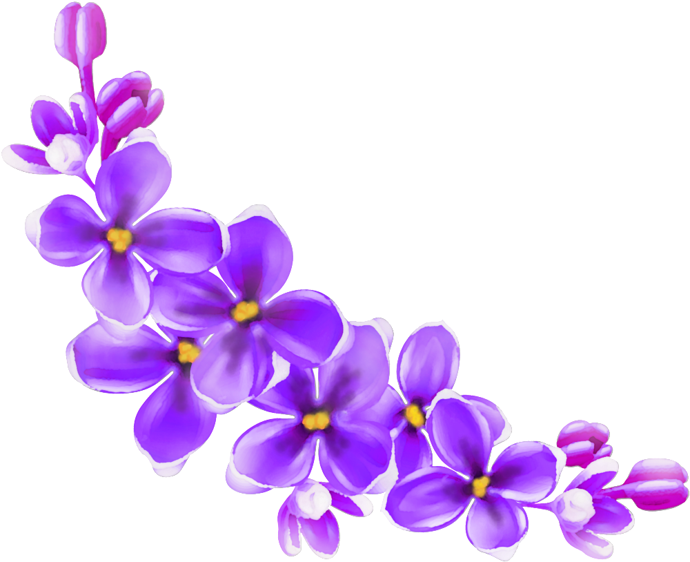 Hand Painted Delicate Purple Flower Png Transparent - Background Purple Flower Png, Png Download PNG with transparent background