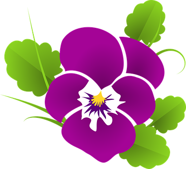 Vibrant Purple Pansy Vector PNG with transparent background