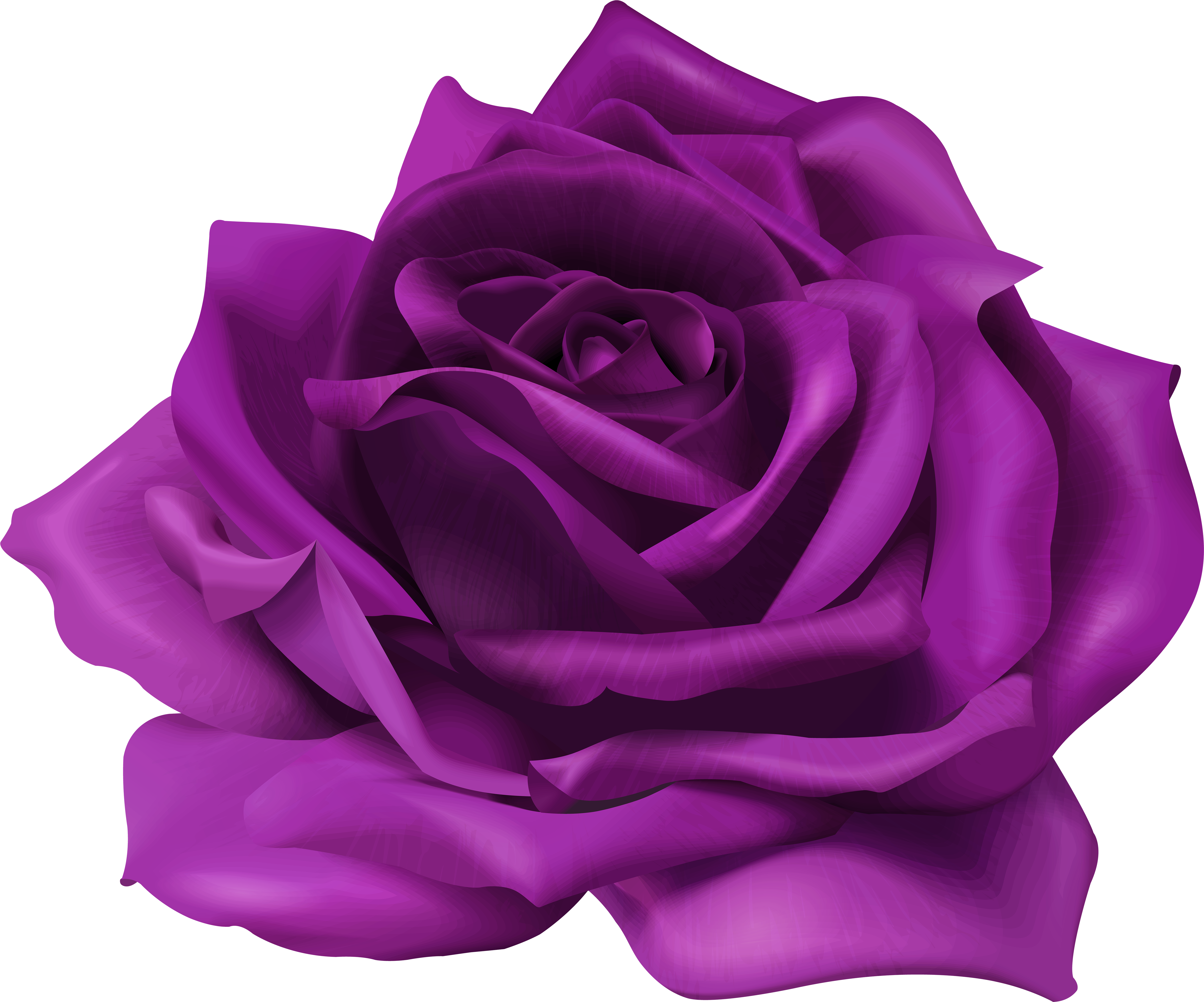 Rose Png Purple - Transparent Purple Flower Png, Png Download PNG with transparent background