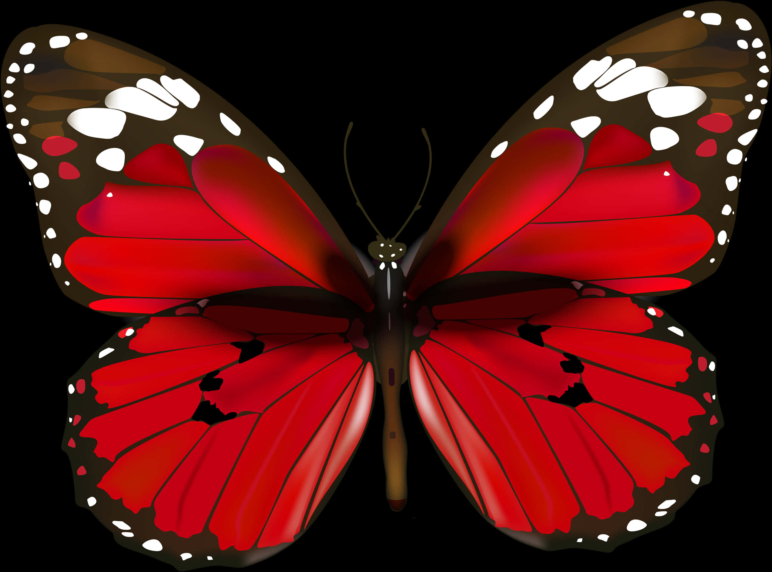 Happy New Year Butterfly, HD Png Download PNG with transparent background