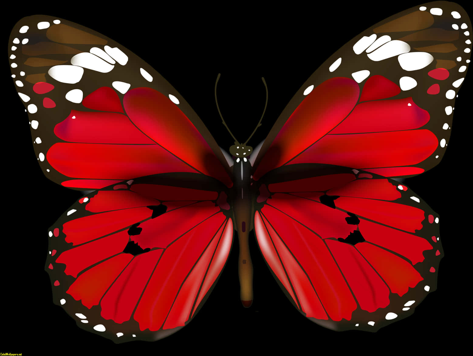 Vibrant_ Red_ Butterfly_ Illustration PNG with transparent background
