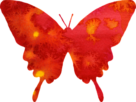 Vibrant Red Butterfly Silhouette PNG with transparent background