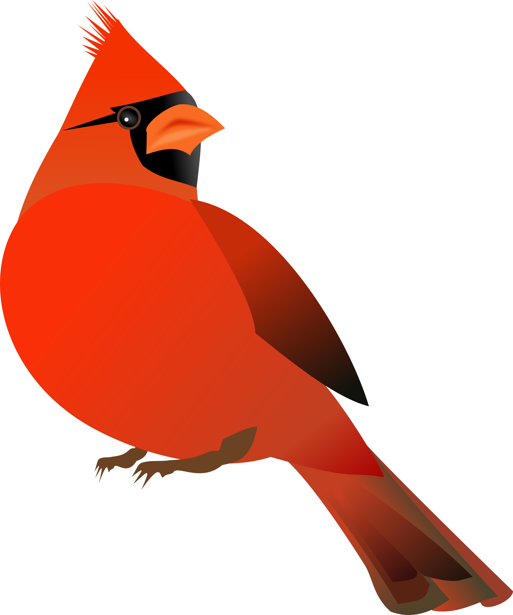 Vibrant Red Cardinal Illustration