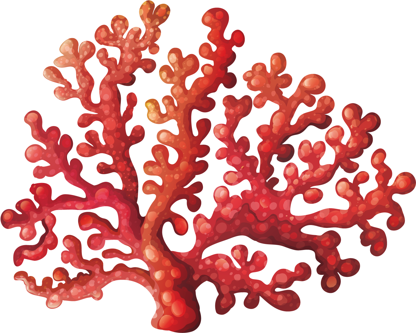 Coral Reef Clipart Fan Coral - Transparent Background Coral Clipart, HD Png Download PNG with transparent background