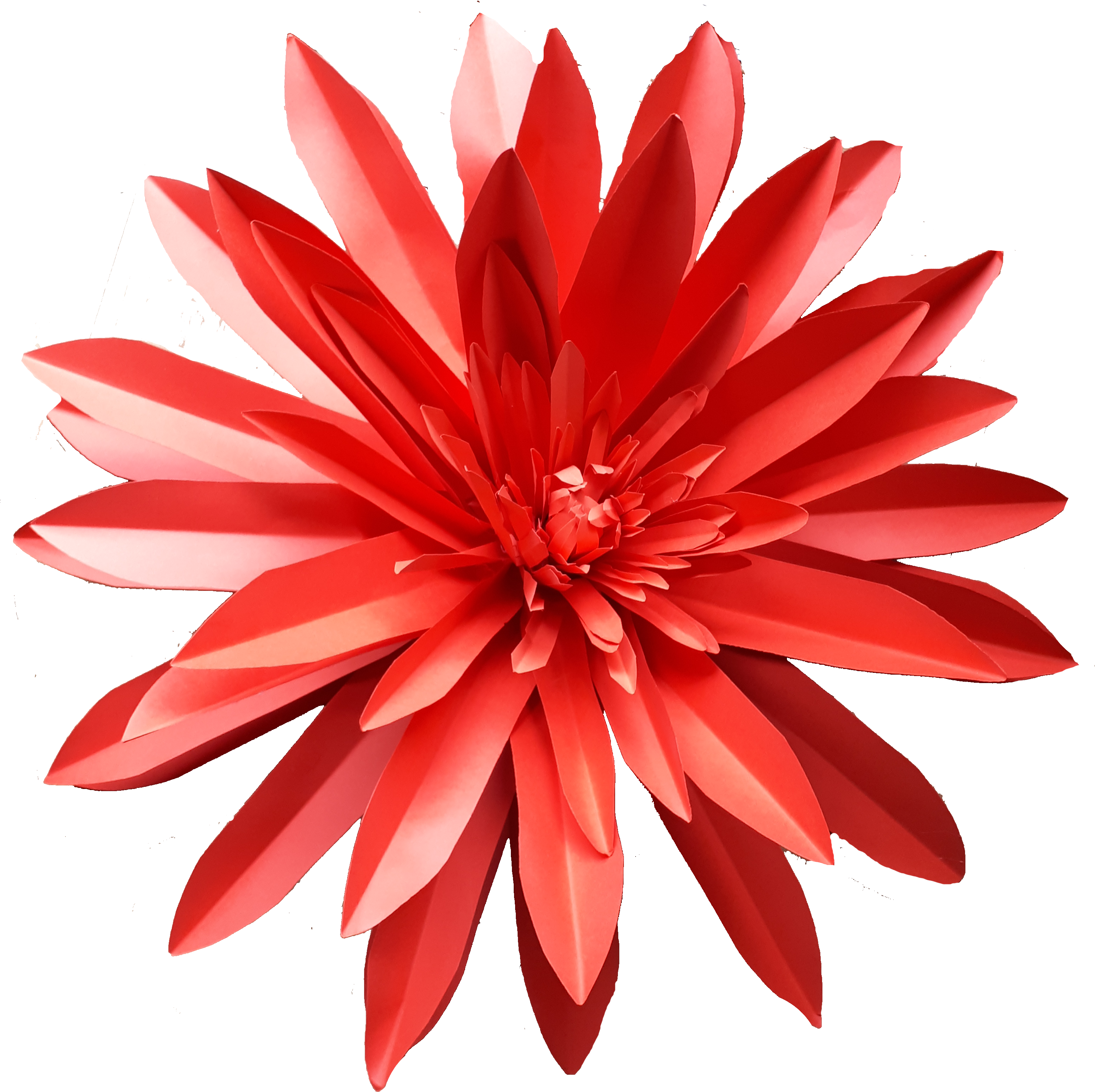 Vibrant Red Dahlia Flower