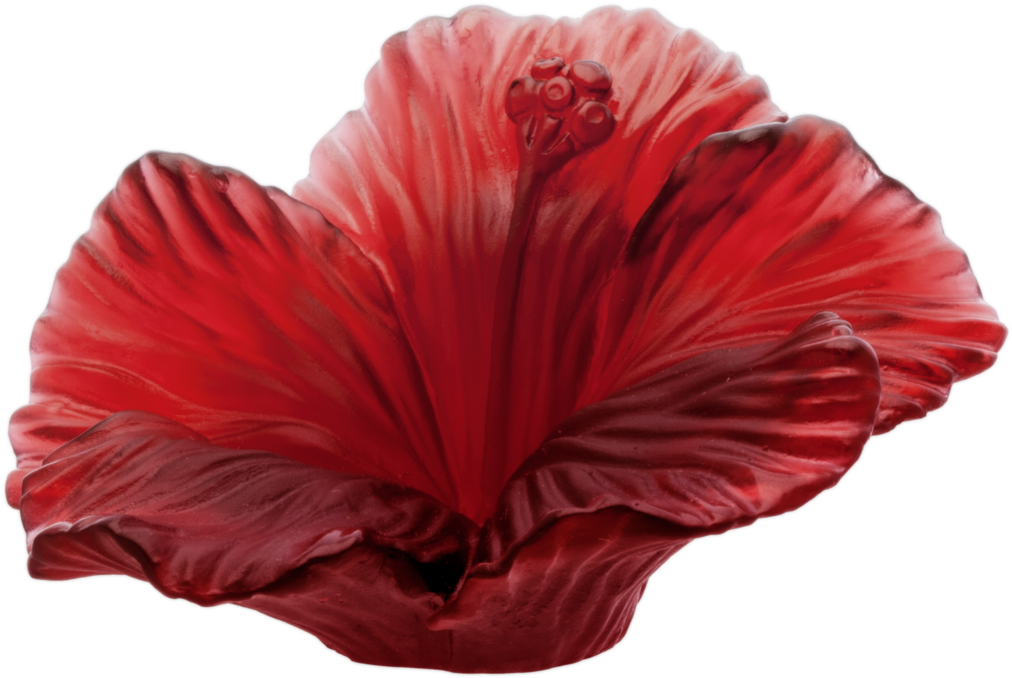 Vibrant Red Hibiscus Flower PNG with transparent background