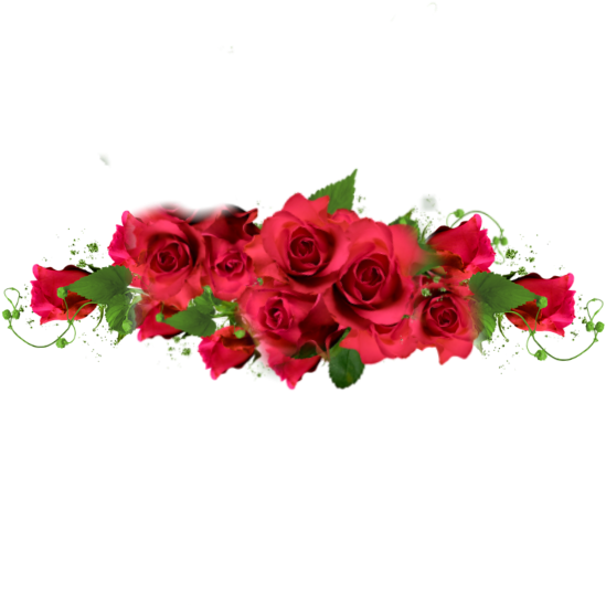 #rose #roses #border #redroses #red #redaesthetic #romantic - Sticker Red Rose Png, Transparent Png PNG with transparent background
