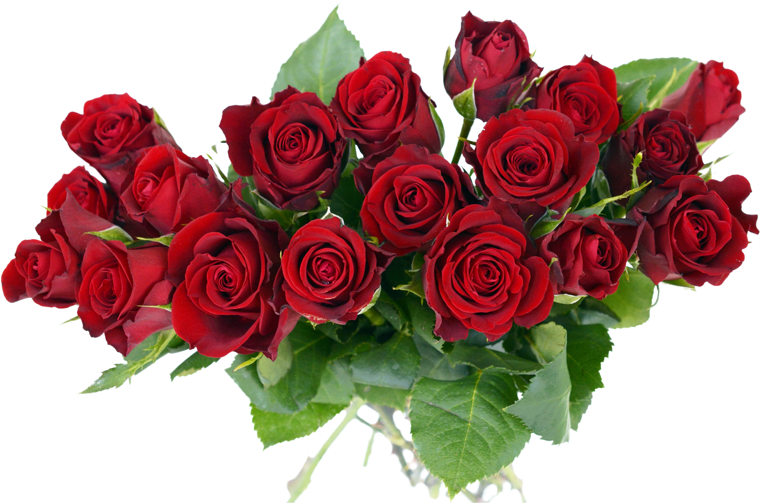 Vibrant_ Red_ Rose_ Bouquet.png