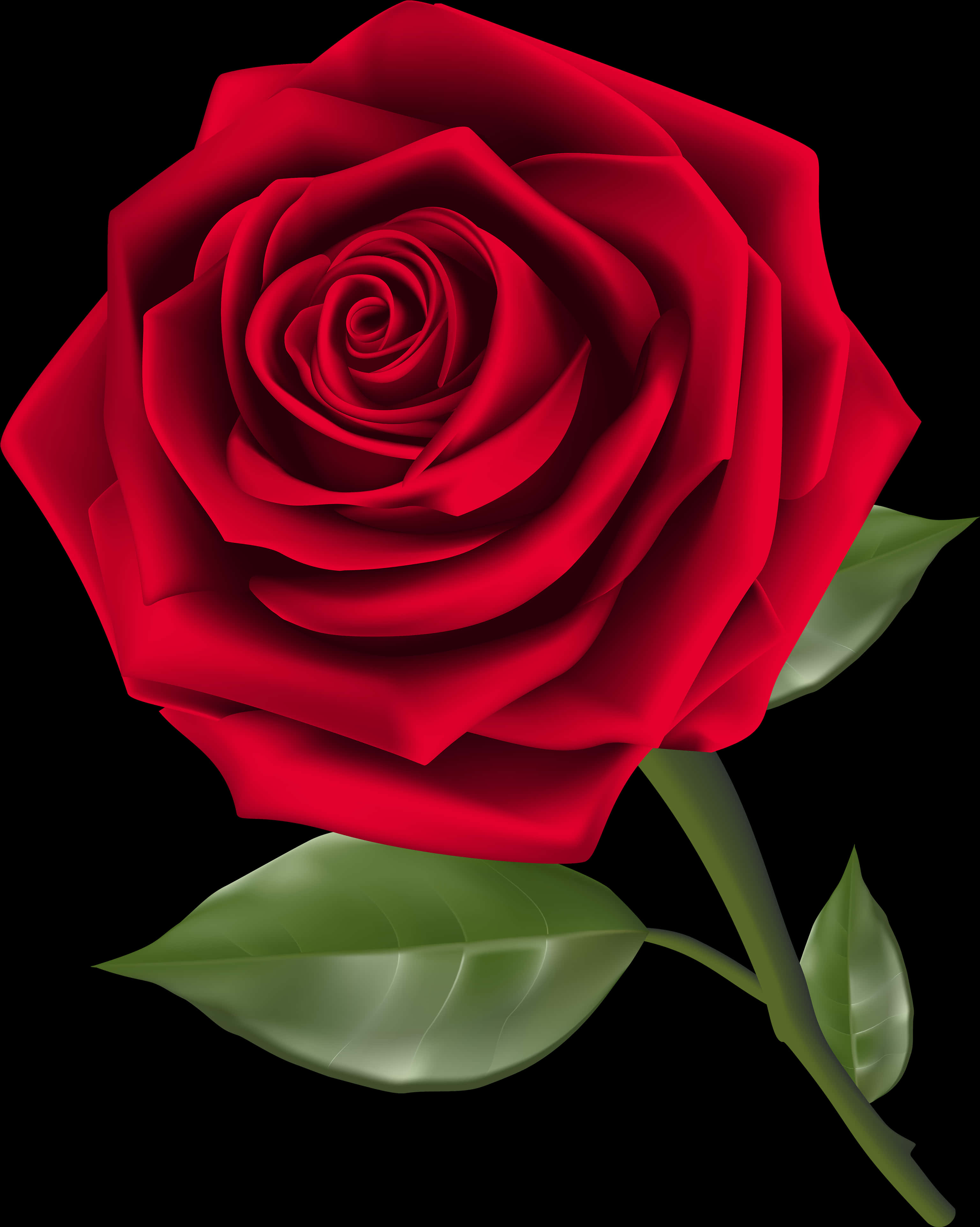 Vibrant Red Rose Graphic PNG with transparent background
