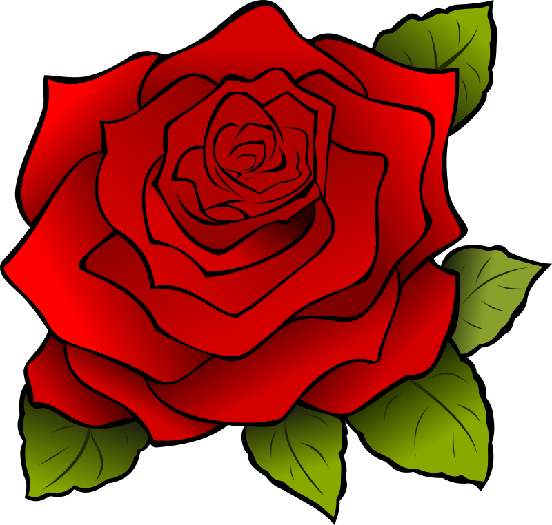 Vibrant Red Rose Illustration