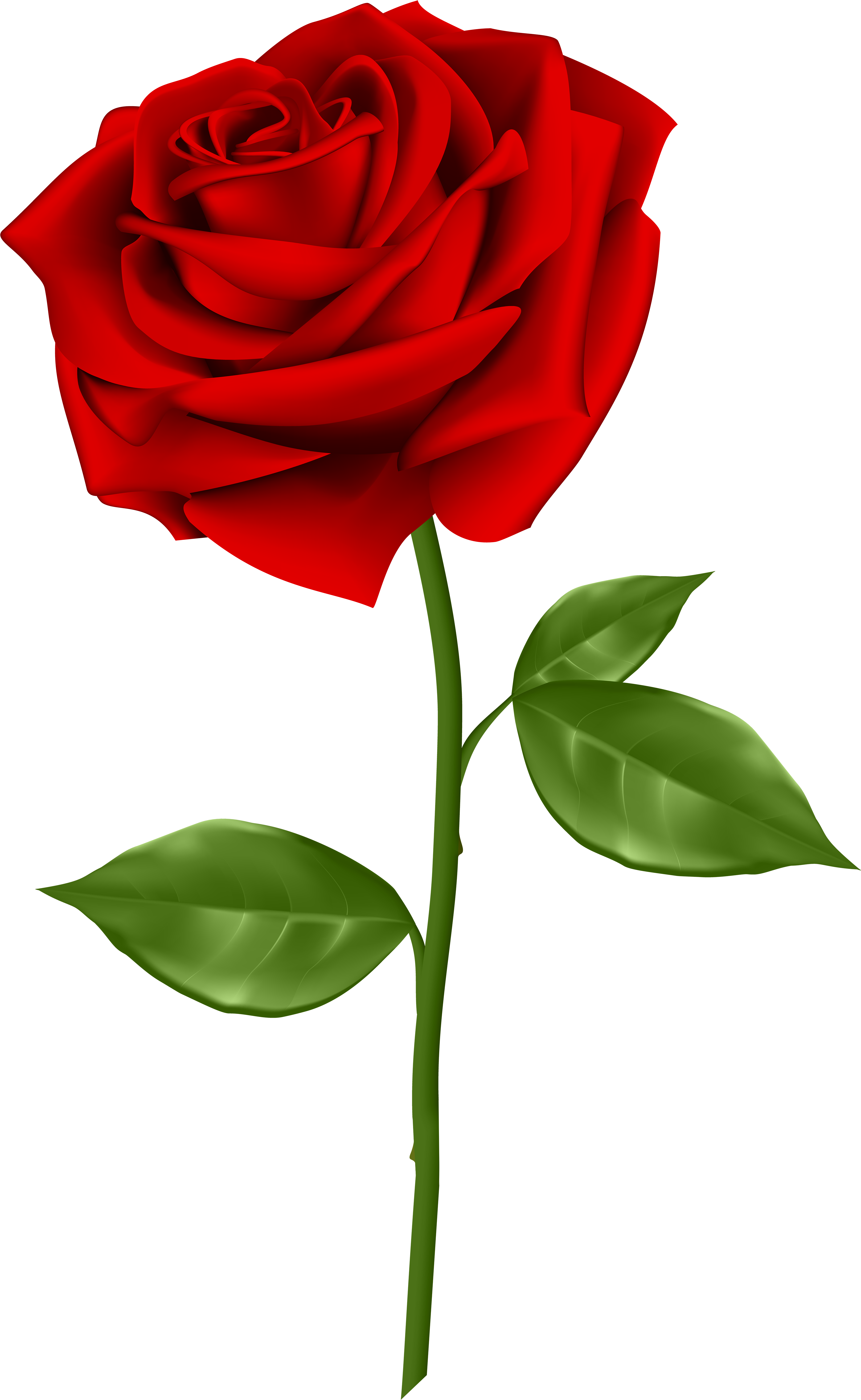 Blue Rose Clip Art - Red Rose Png Transparent, Png Download PNG with transparent background