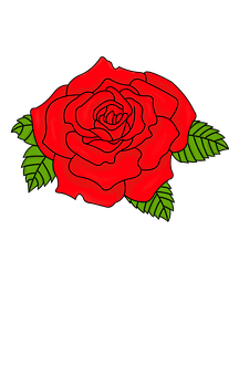 Vibrant Red Rose Illustration