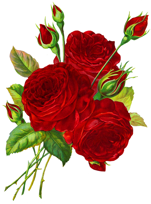 Vibrant Red Roses Artwork.png