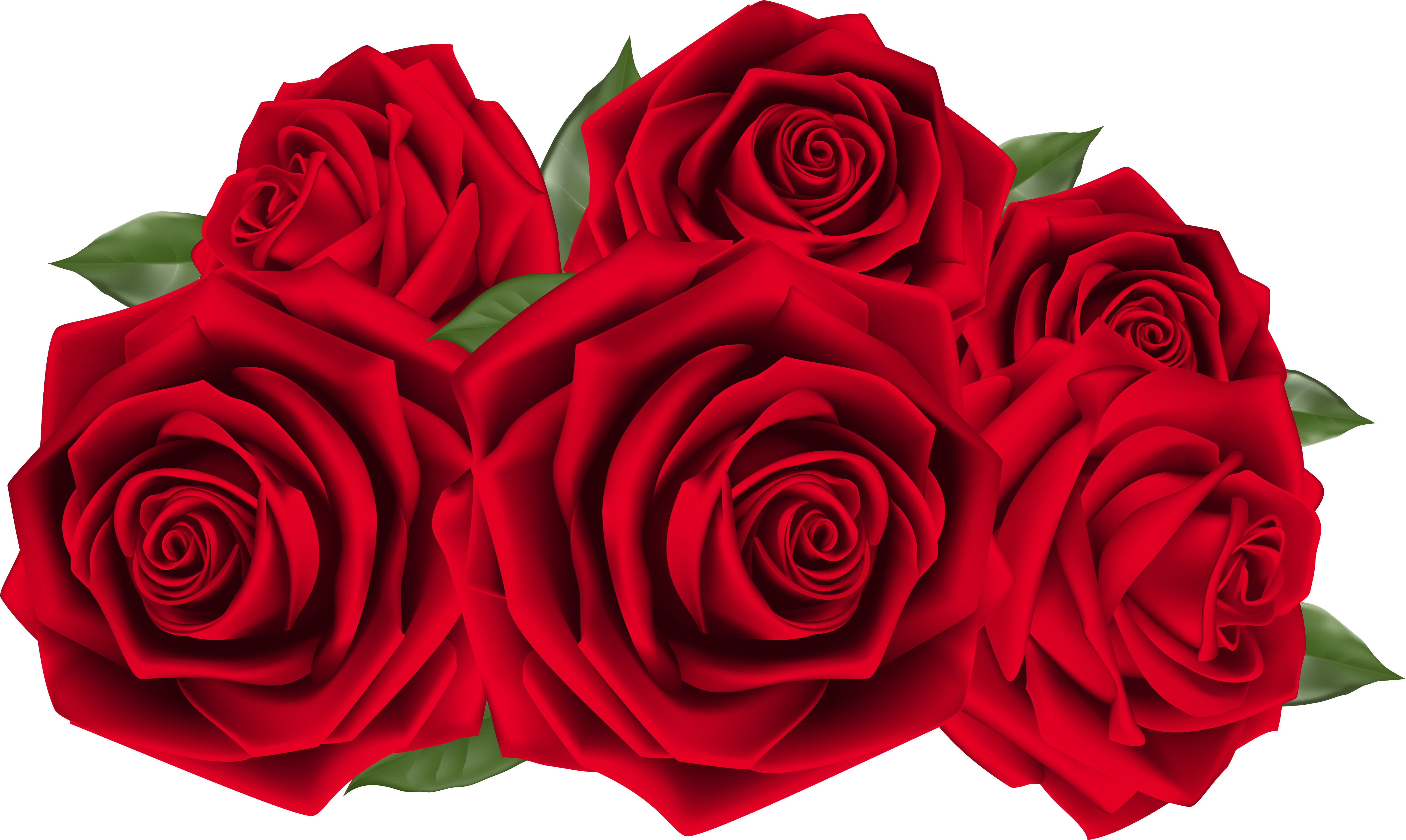 Rose Cliparts Transparent Full Size - Red Roses Hd Png, Png Download PNG with transparent background
