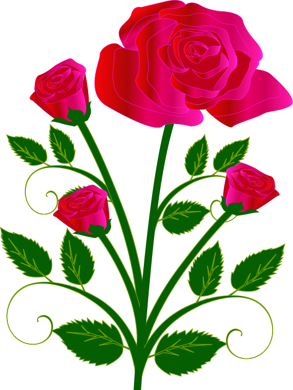Vibrant Red Roses Vector Art PNG with transparent background