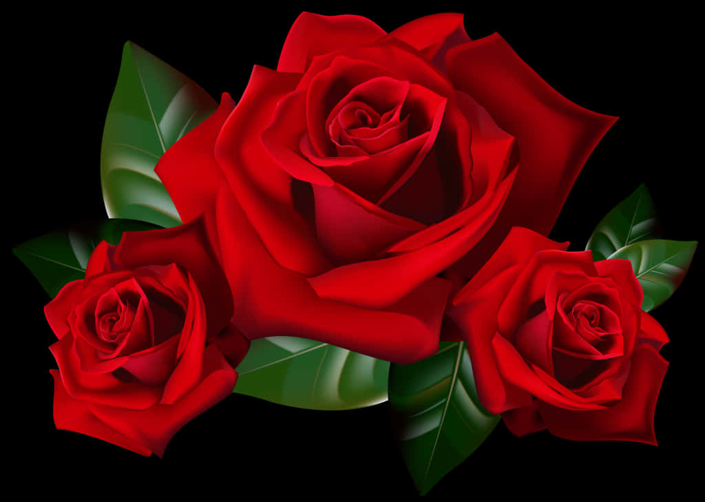 Rose Cliparts Transparent Background - Red Roses Clip Art, HD Png Download PNG with transparent background