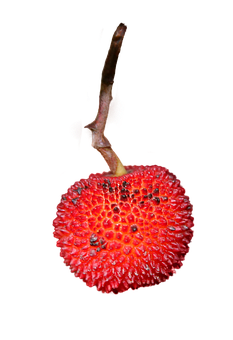 Vibrant Red Strawberry Black Background.jpg PNG with transparent background