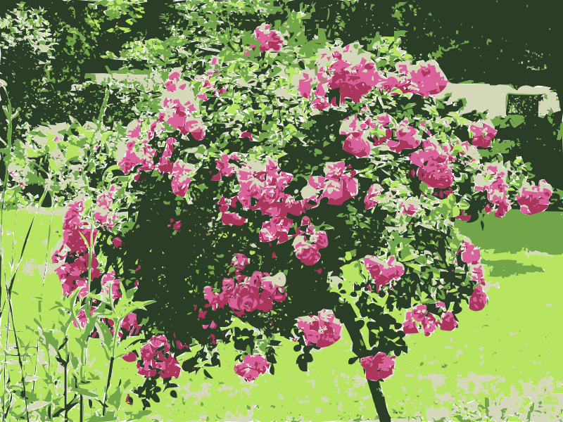 Vibrant Rose Bush Artwork PNG with transparent background
