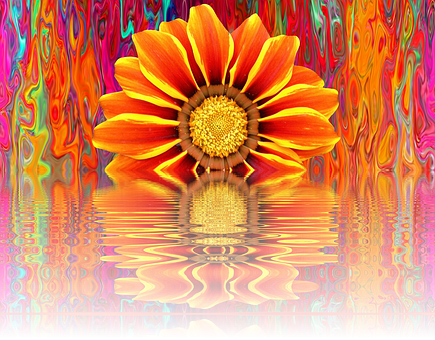 Vibrant Summer Bloom Reflection PNG with transparent background