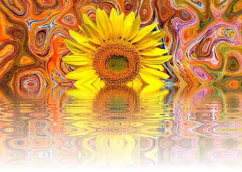 Vibrant Sunflower Artistic Reflection.jpg PNG with transparent background
