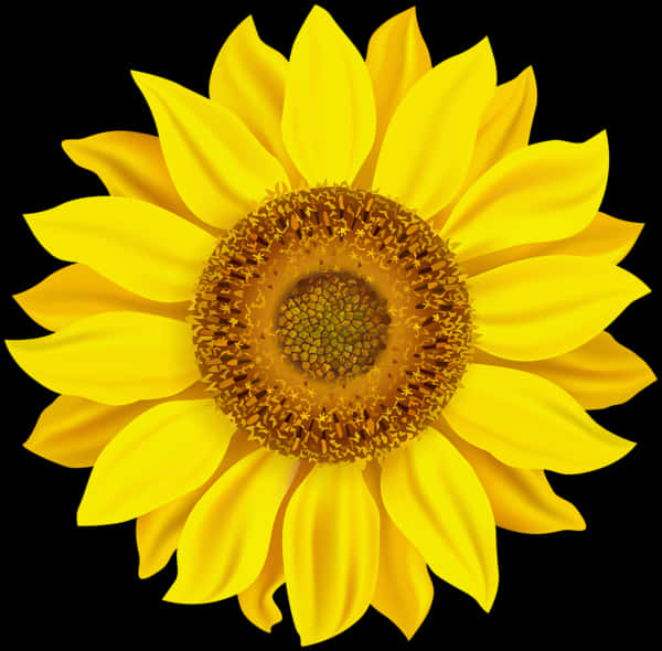 Vibrant Sunflower Black Background PNG with transparent background