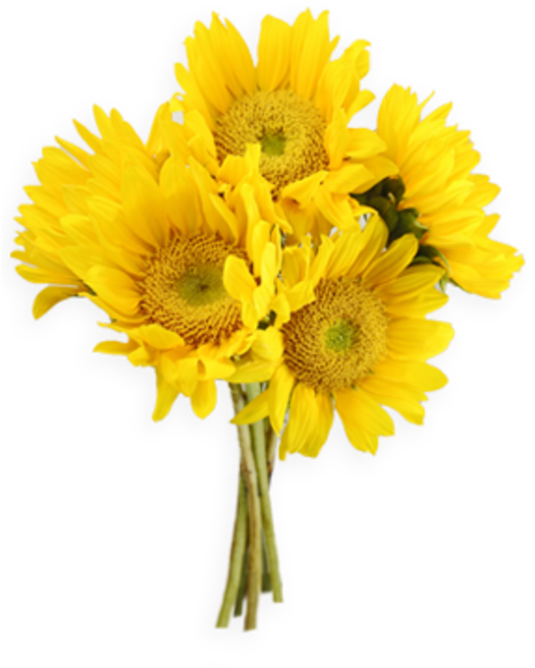 Vibrant_ Sunflower_ Bouquet.png