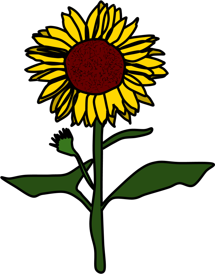 Vibrant Sunflower Clipart