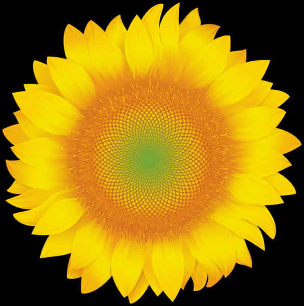 Vibrant Sunflower Graphic PNG with transparent background