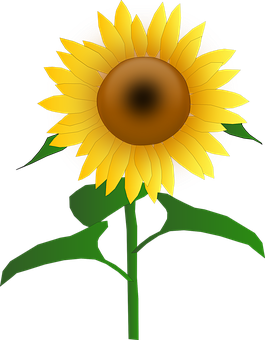 Vibrant Sunflower Graphic PNG with transparent background