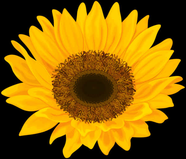 Vibrant Sunflower Illustration PNG image with a transparent background, free high-resolution download