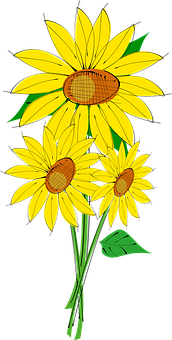 Vibrant Sunflower Illustration