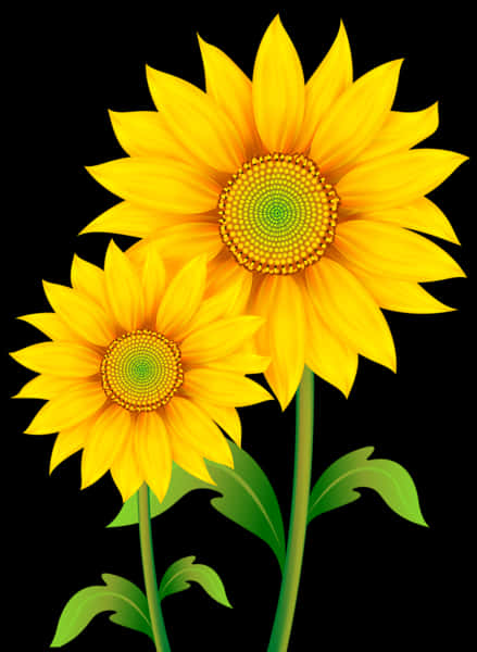 Vibrant Sunflowers Black Background