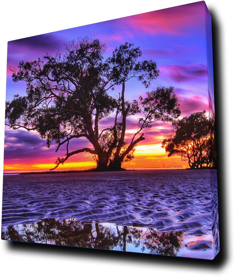 Vibrant_ Sunset_ Silhouette_ Tree_by_ Water