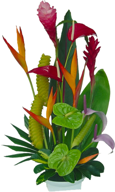 Vibrant Tropical Flower Arrangement.png