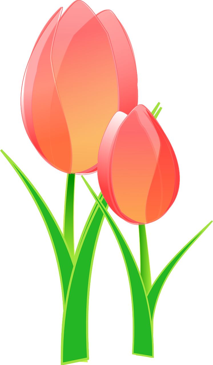 Vibrant Tulips Illustration