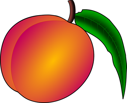 Vibrant Vector Peach PNG with transparent background