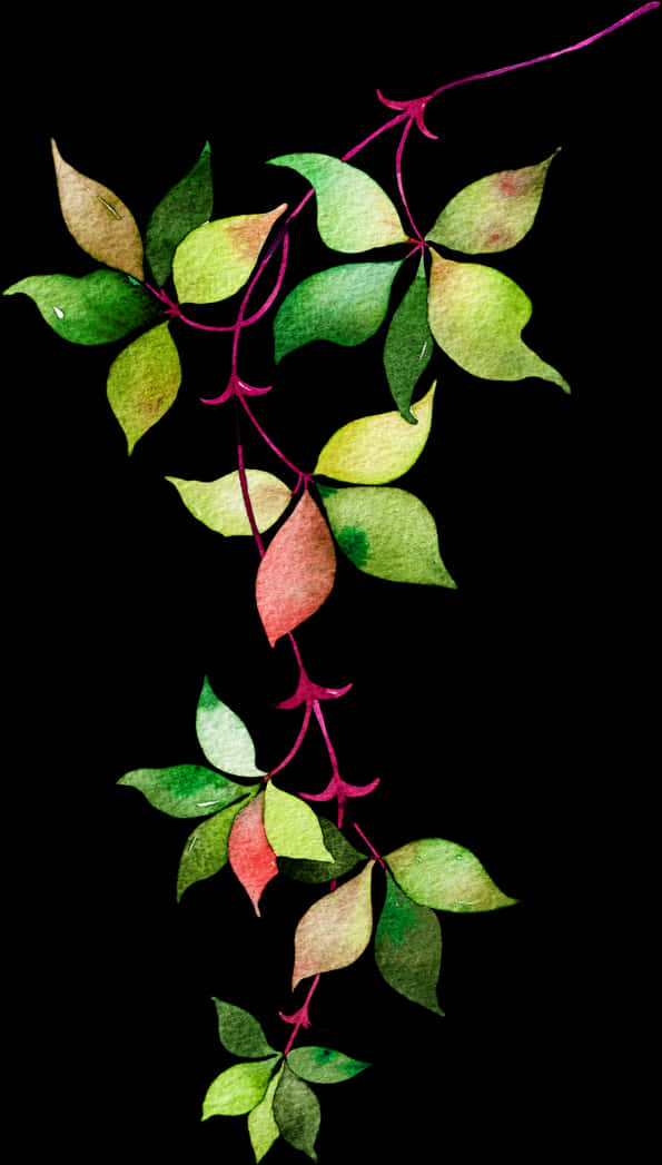 Vibrant Vine Leaves Against Black Background