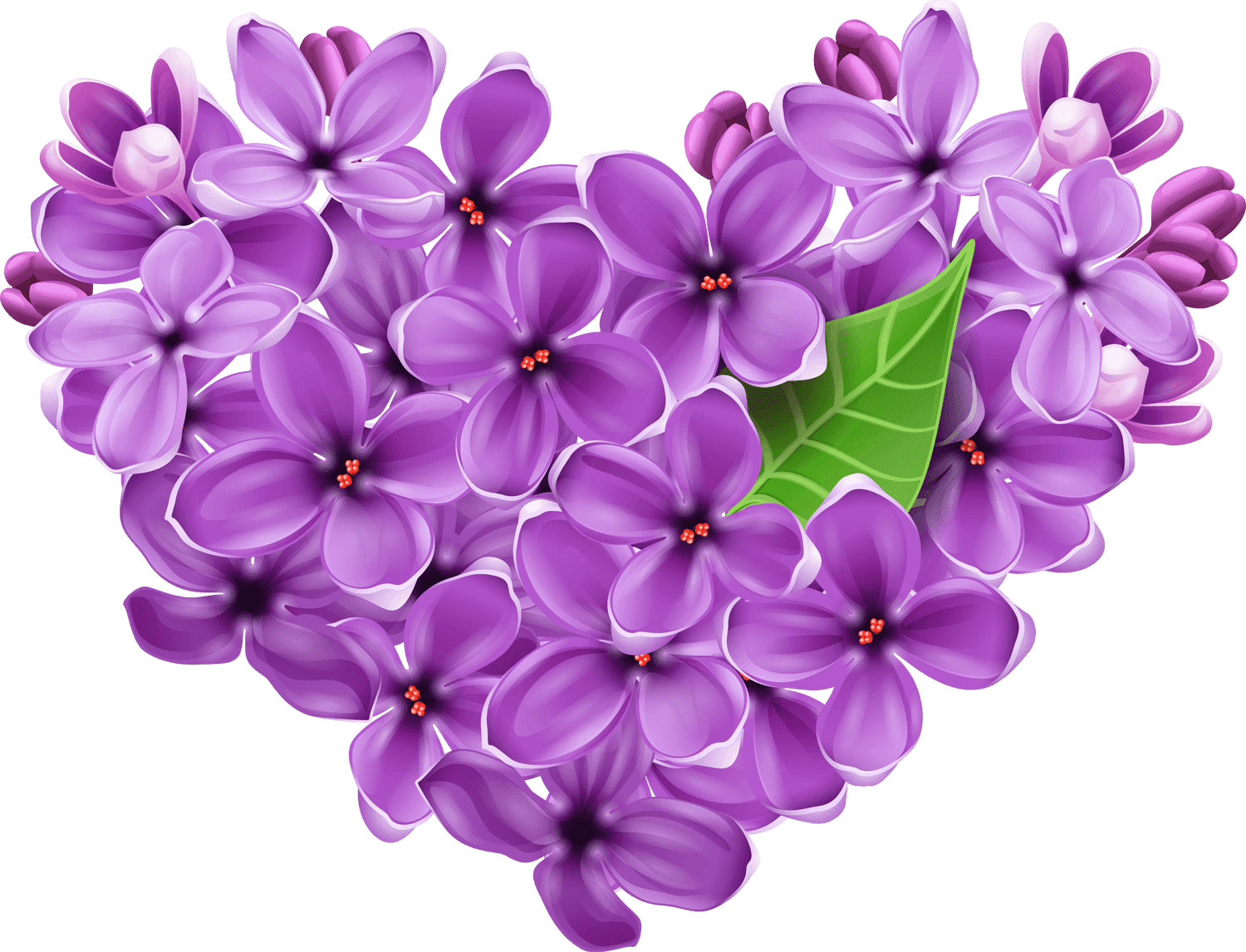 Vibrant Violet Lilac Flowers